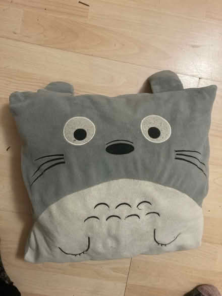 Photo of free Totoro cushion (Crookes S10) #1