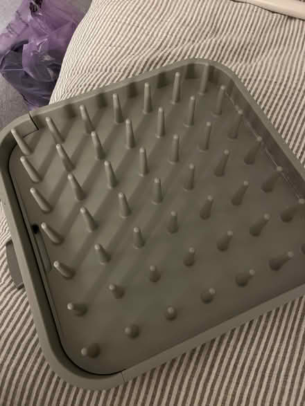 Photo of free Dish stand (Bloomsbury WC1B) #1