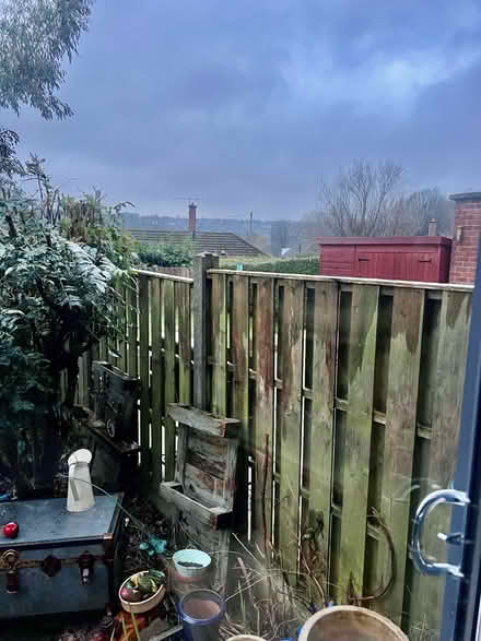 Photo of Privacy/fence topper (Dronfield S18) #1