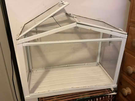 Photo of free terrarium-like thingy (Upper Bangor LL57) #1