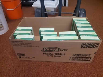 Photo of free Facial Tissue, 14 boxes (South Bellevue) #1