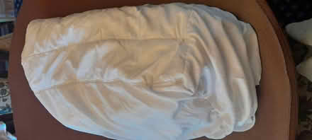 Photo of free Mattress protector (Alresford CO7) #1