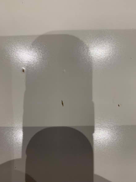 Photo of free Ikea extendable table and 6 seats (Greystones S11) #4
