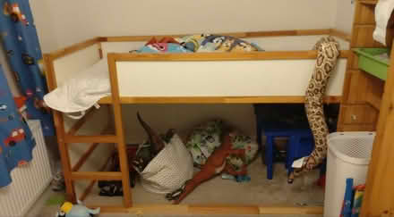 Photo of free Kids bed frame (HP10 flackwell heath) #1