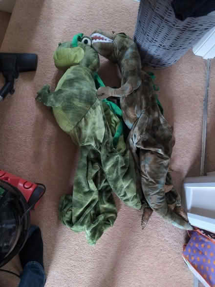 Photo of free Dinosaur costumes (Ockley) #1