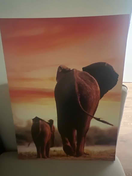 Photo of free Canvas pic (Surrey Quays) #1