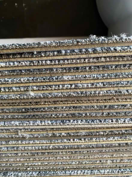 Photo of free Carpet tiles with soundproofing (IG8) #4