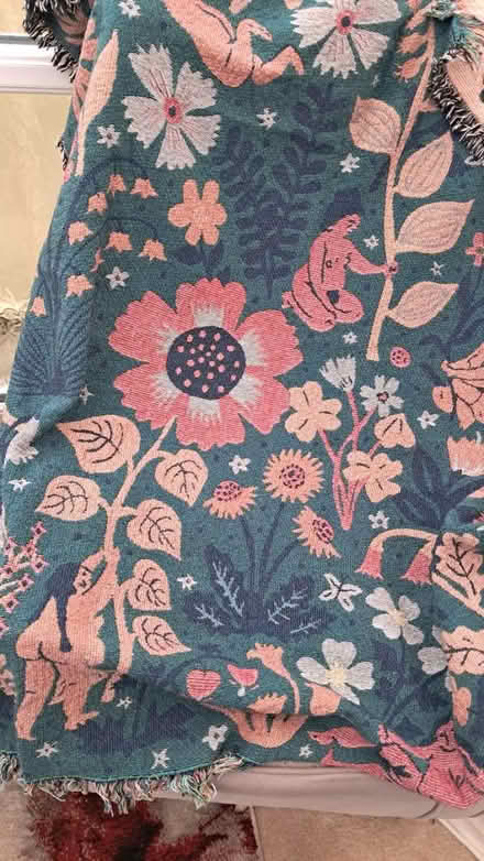 Photo of free A large Reversable Throw/Rug (EX2 hamilton avenue.) #2