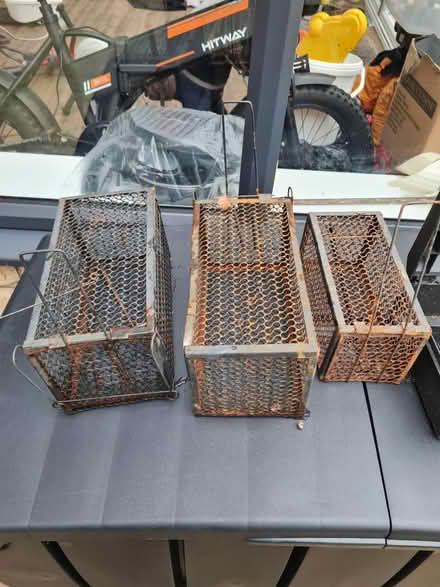 Photo of free Rat traps (Lancaster freehold) #1