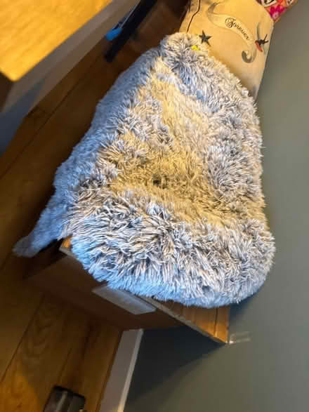 Photo of free Animal bed with fleece flap (Harringay Green Lanes N4) #1