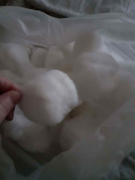 Photo of free Polyester ball Filling (Chatham ME4) #2