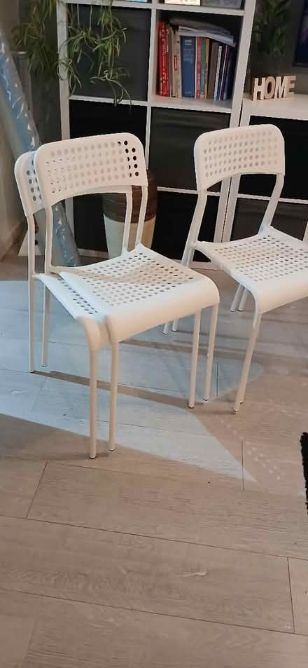 Photo of free 4 chairs (Staple tye, harlow) #1