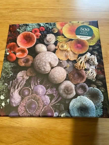 Photo of free 500 piece mushroom puzzle (Jericho OX2) #1