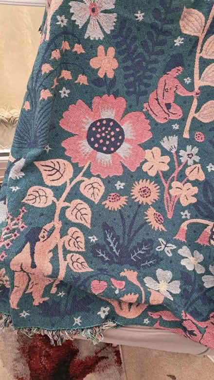 Photo of free A large Reversable Throw/Rug (EX2 hamilton avenue.) #4