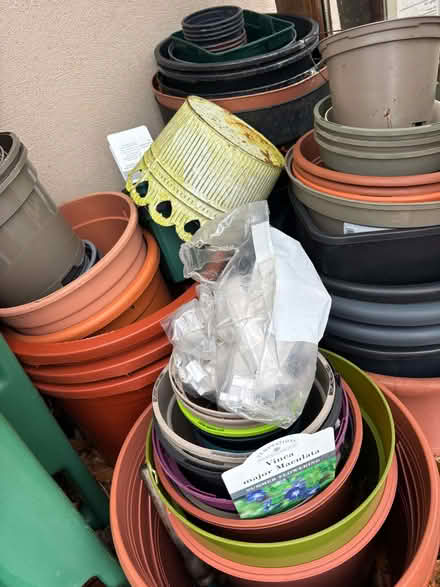 Photo of free Plastic Plants Pots (Kingston Bagpuize OX13) #1
