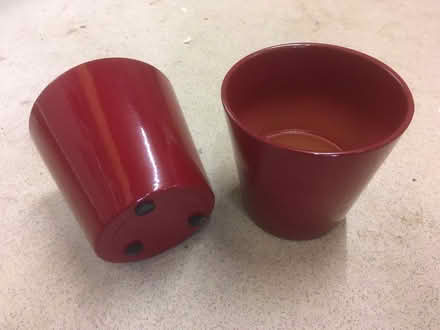 Photo of free Two Poinsettia Pots (Garden City OX5) #1