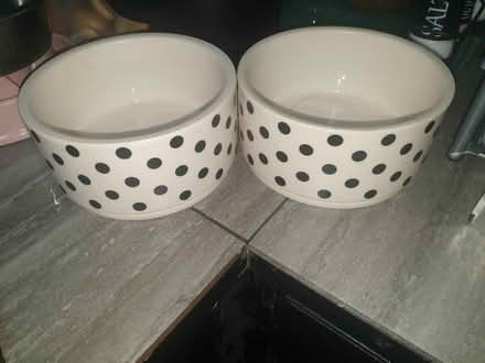 Photo of free ceramic dog bowls (Yardley birmingham B25) #1