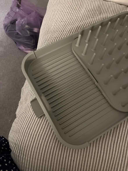 Photo of free Dish stand (Bloomsbury WC1B) #2