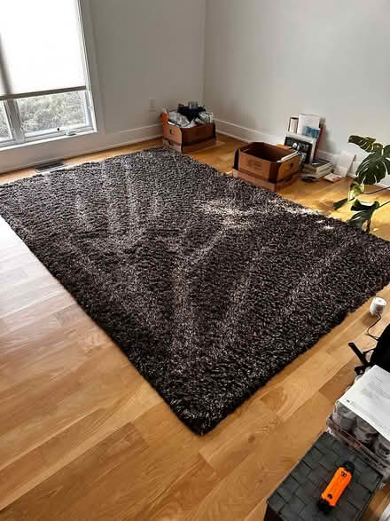 Photo of free Shag rug- espresso brown (Morningside/Virgina Highland) #1