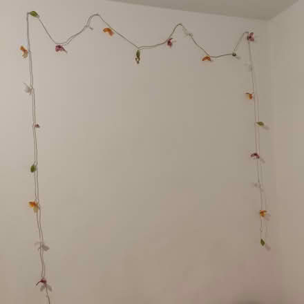 Photo of free Fairy lights (Croydon CR0) #2