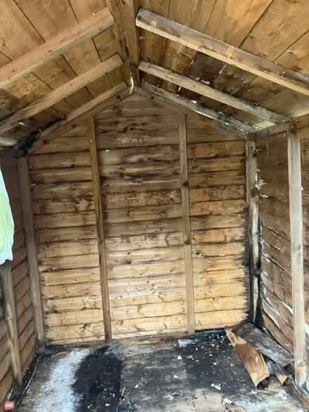 Photo of free Garden shed (Nailsea. BS48) #3