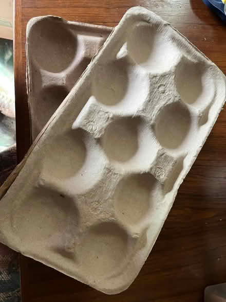 Photo of free Cardboard from apples (South Valley) #3