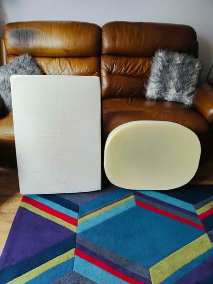 Photo of free Two dog bed mattresses - EN1 (Enfield EN1) #1