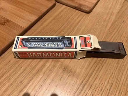 Photo of free Kids Harmonica (Twickenham Green) #1