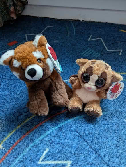Photo of free 2 soft toys (Moorfields) #1