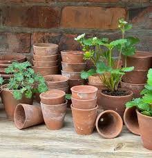 Photo of Terracotta Pots - Mixed Sizes (Garston L19) #2