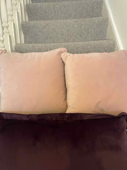 Photo of free 4 cushions in pink and purple velour material (Fulham Palace Rd SW6) #3