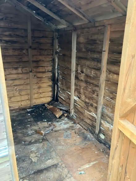 Photo of free Garden shed (Nailsea. BS48) #2