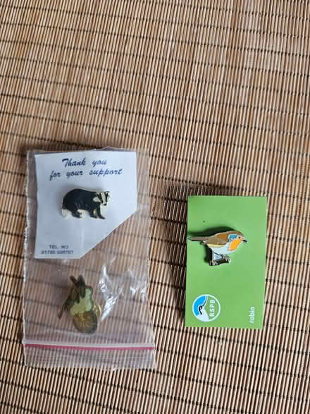 Photo of free lapel pins (Redditch B97) #1