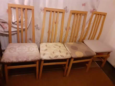 Photo of free 4 Dining chairs (Hersham) #1