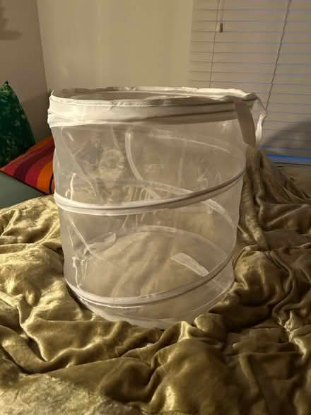 Photo of free collapsible laundry basket with lid (Highland Park/Eagle Rock) #3