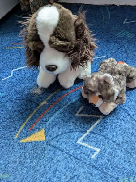 Photo of free 2 Plush dog toys (Moorfields) #1