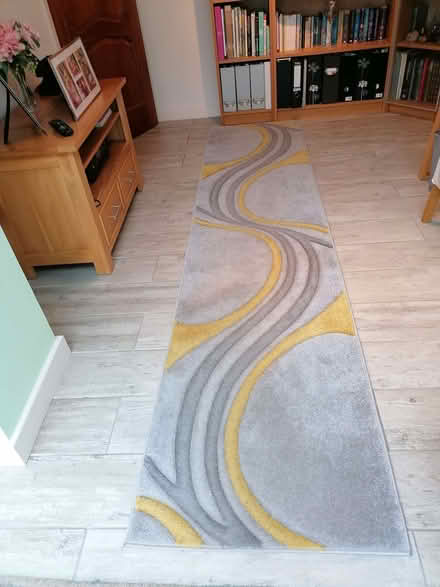 Photo of free Long rug (Cadoxton-juxta-Neath SA10) #2