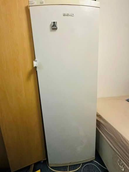 Photo of free Beko Fridge (Stoke Newington N16) #1