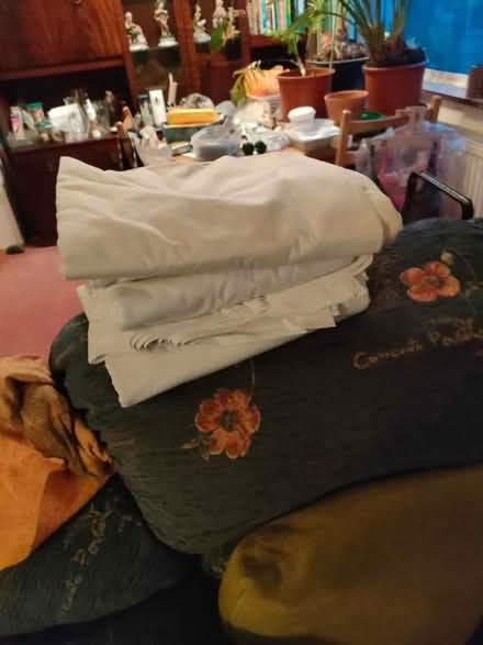Photo of free Flat double sheets (Lower Ansty DT2) #1