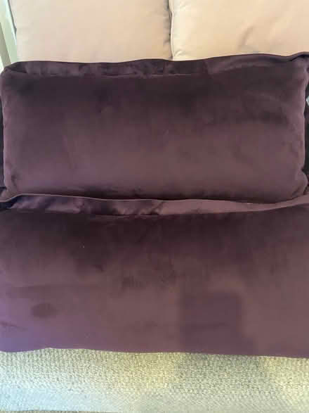 Photo of free 4 cushions in pink and purple velour material (Fulham Palace Rd SW6) #2