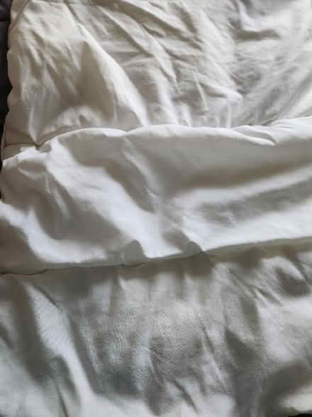 Photo of free Cot Quilt & cover (Barnard's Green WR14) #1