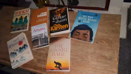 Photo of free Afrikaans books (DN21, Gainsborough) #1