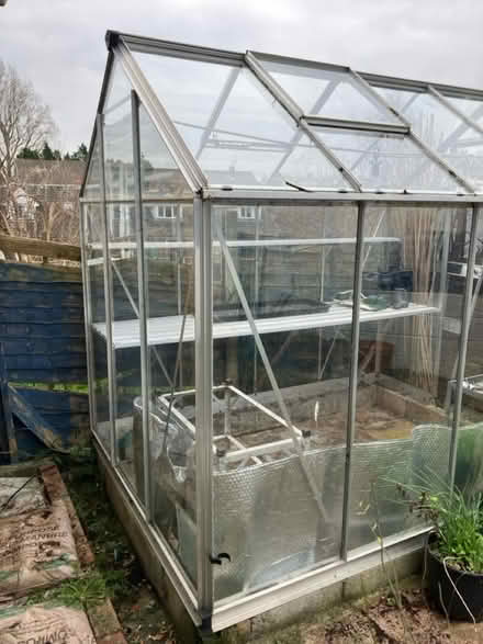 Photo of free Green house (Nailsea. BS48) #3