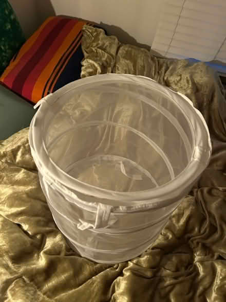 Photo of free collapsible laundry basket with lid (Highland Park/Eagle Rock) #2