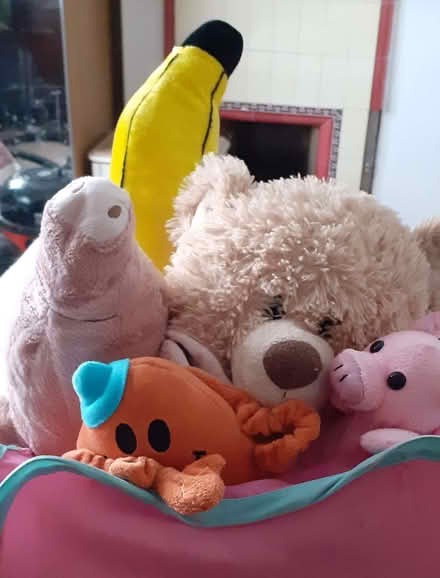 Photo of free Teddies (City of Bristol BS5) #1