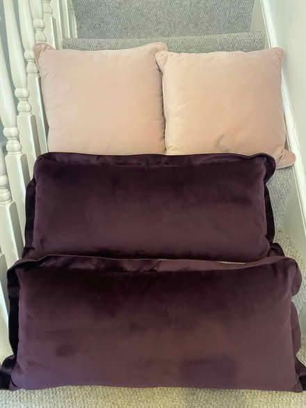 Photo of free 4 cushions in pink and purple velour material (Fulham Palace Rd SW6) #1