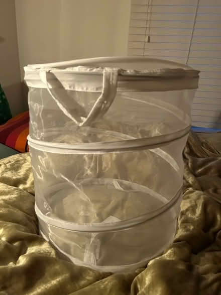 Photo of free collapsible laundry basket with lid (Highland Park/Eagle Rock) #1