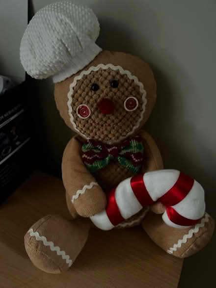 Photo of free Teddy (SW3) #1