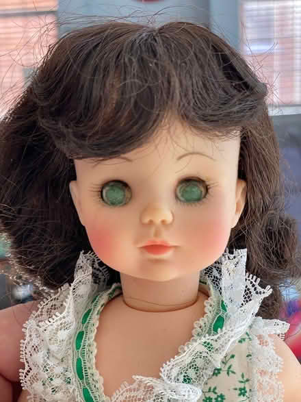 Photo of free Doll (Western Suburbs) (Western Suburbs (Winfield)) #4