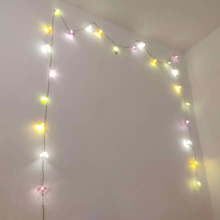 Photo of free Fairy lights (Croydon CR0) #1
